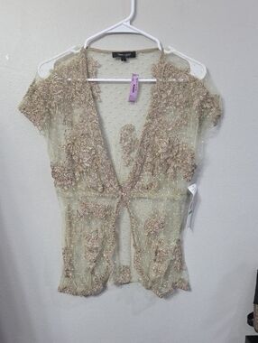 Karen Kane Delicate Sheer Embroidered Beaded V-Neck Top in Champagne